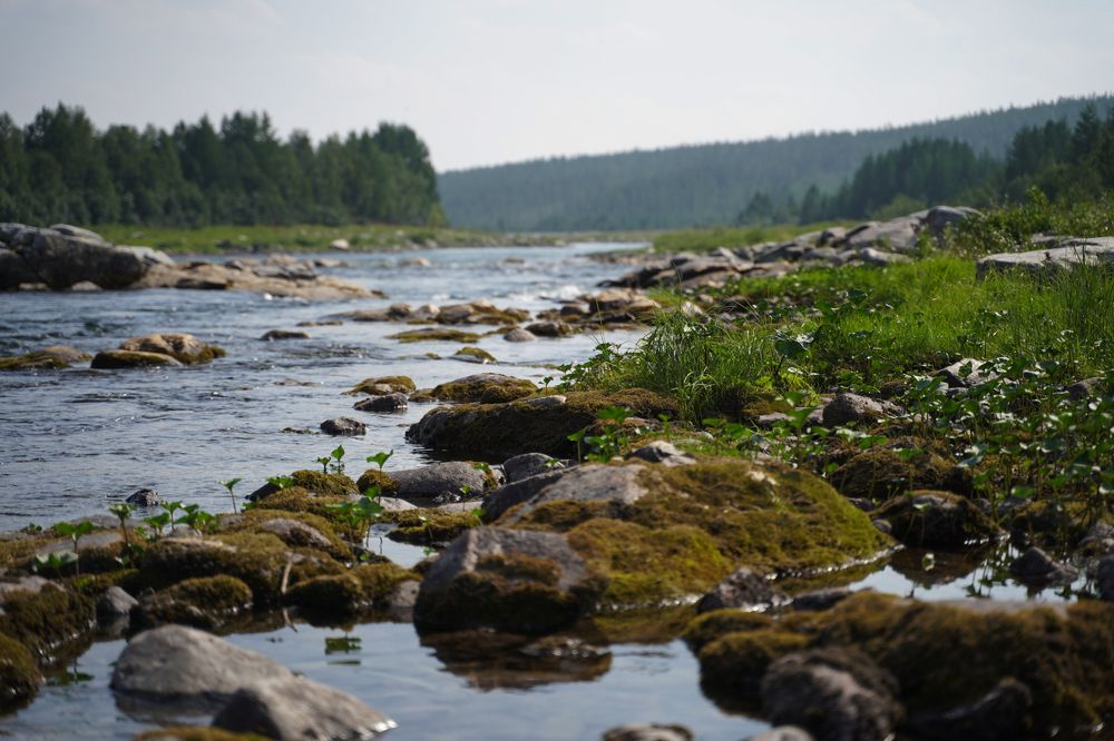 Photograph by Alexey Shashkov