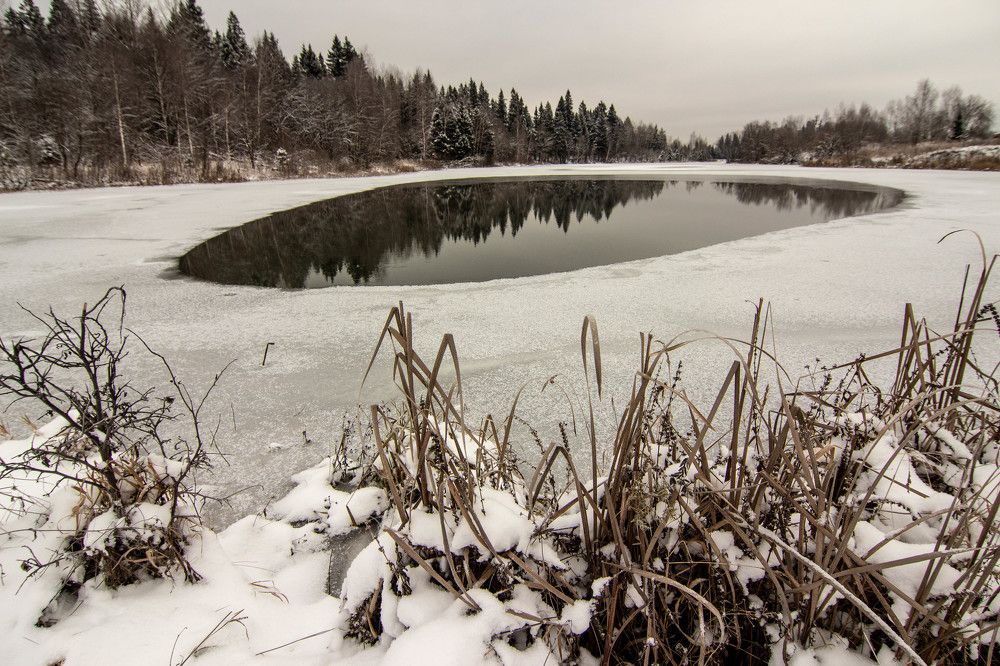 Фотография автора Виталий Дузь