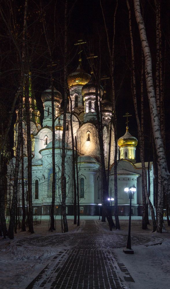 Фотография автора Виталий Дузь