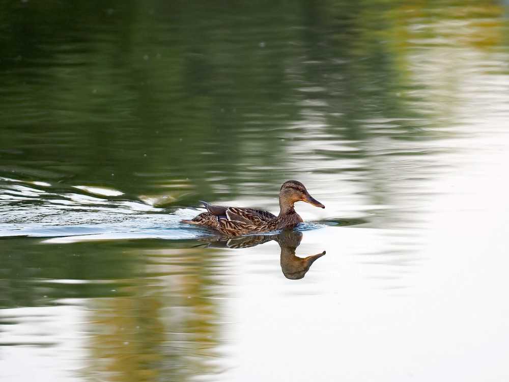 Photograph by Нурият Аллаярова