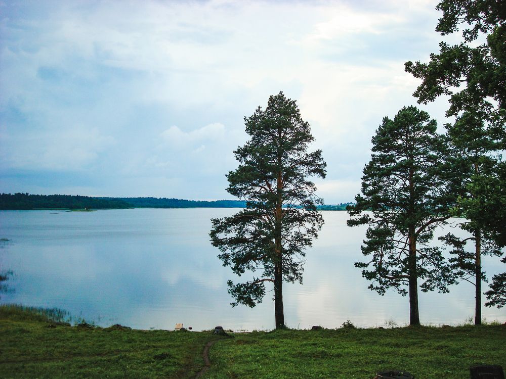 Photograph by Дмитрий Цикин