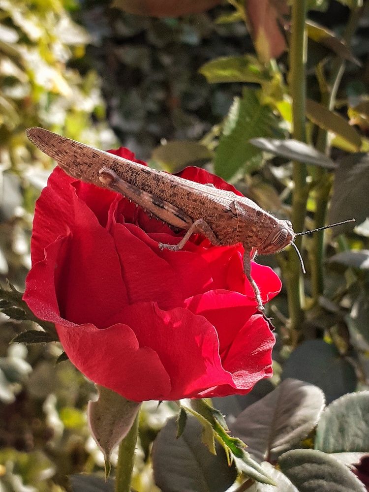 Photograph by Эмма Рахматуллина