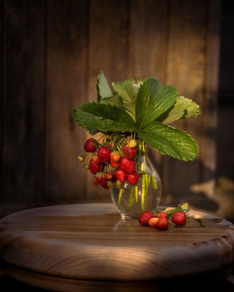 Photograph by Ольга Воронова