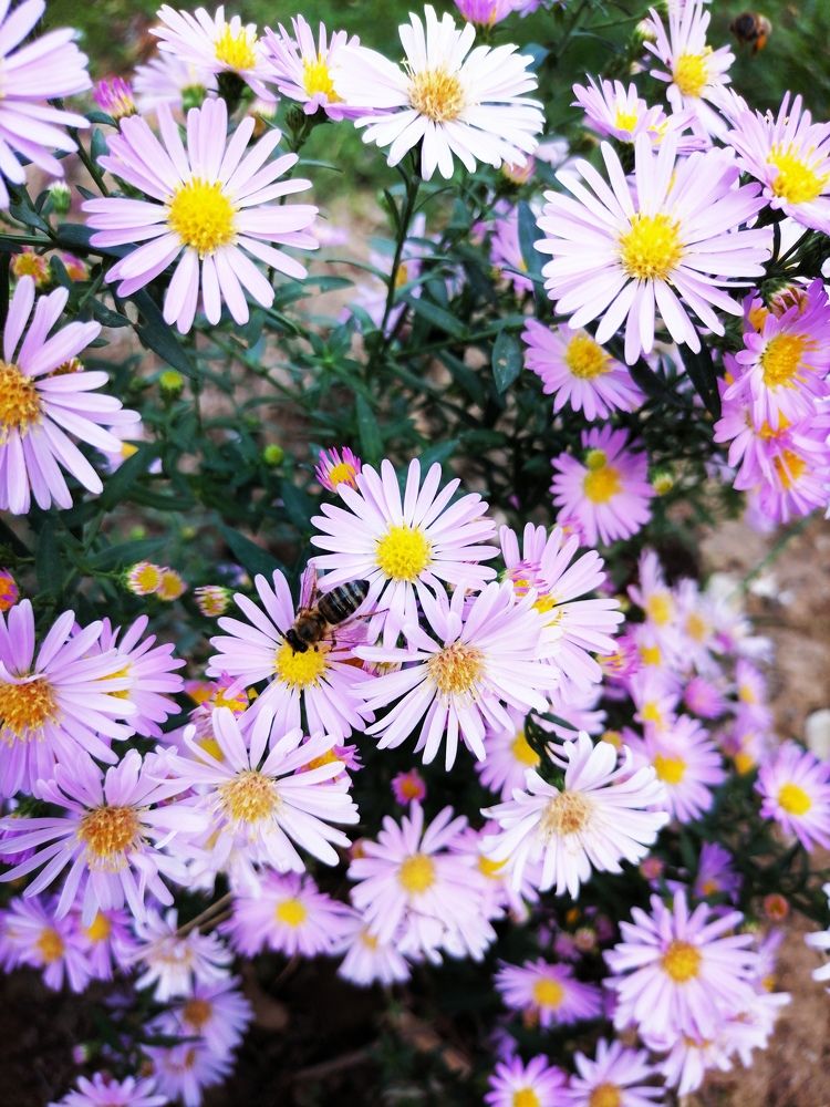 Photograph by Vesna Petkoska