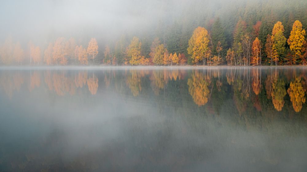 Photograph by Borviz Attila