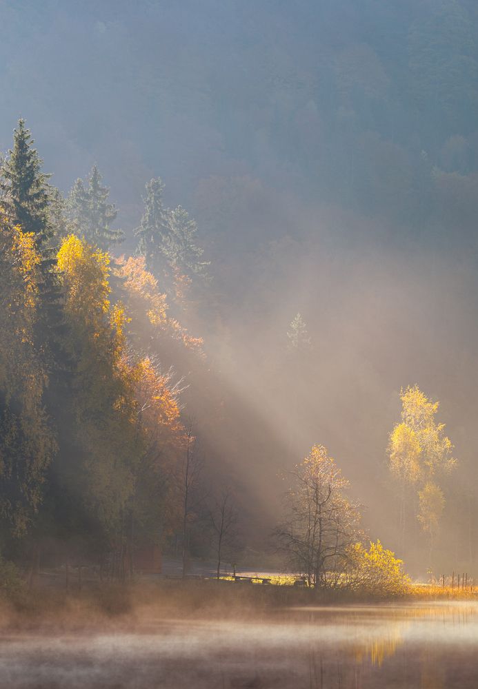 Photograph by Borviz Attila