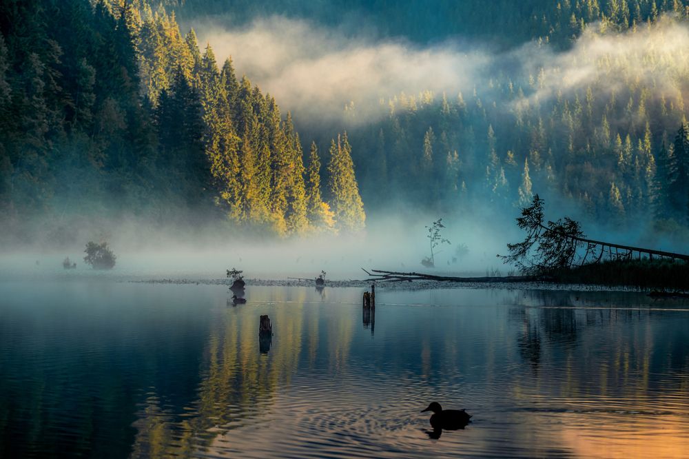 Photograph by Borviz Attila