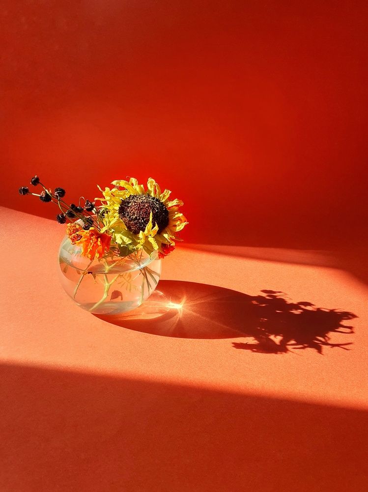 Photograph by Эмма Рахматуллина