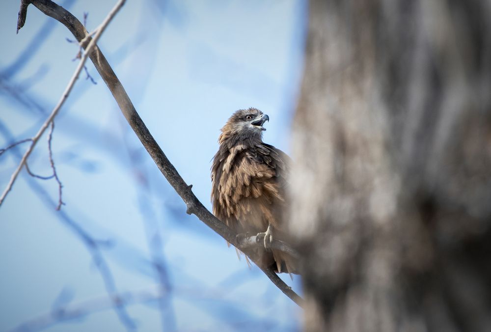 Photograph by Александр Перегудов