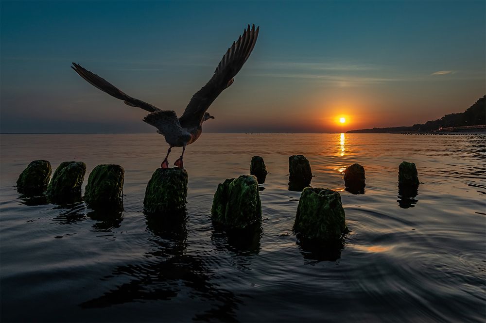 Фотография автора Дмитрий Потапов