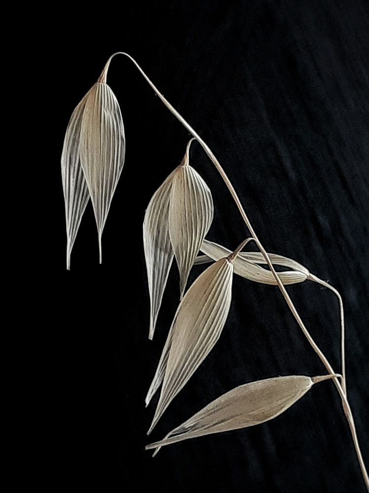 Photograph by Эмма Рахматуллина