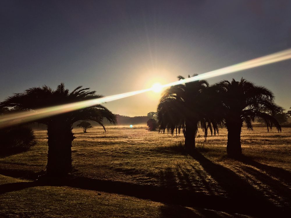 Photograph by Viviana García