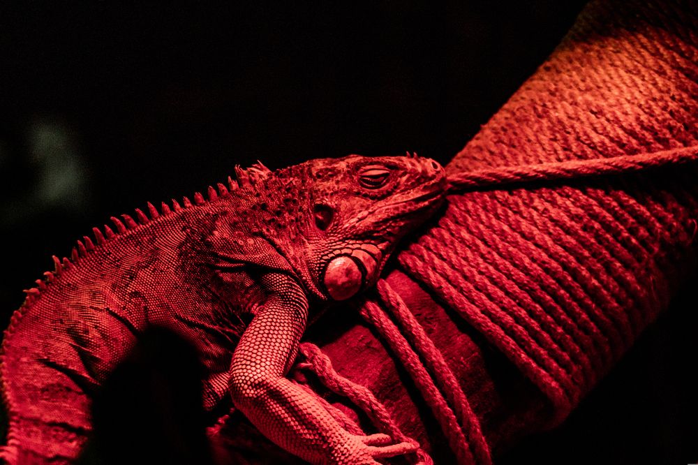 Photograph by Дмитрий Растихин