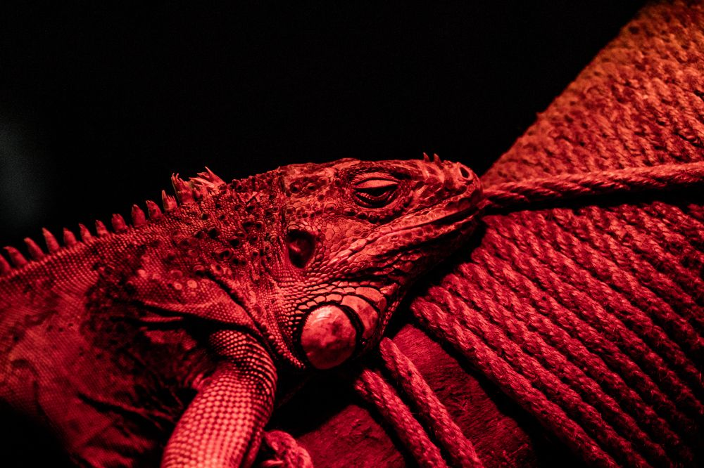 Photograph by Дмитрий Растихин