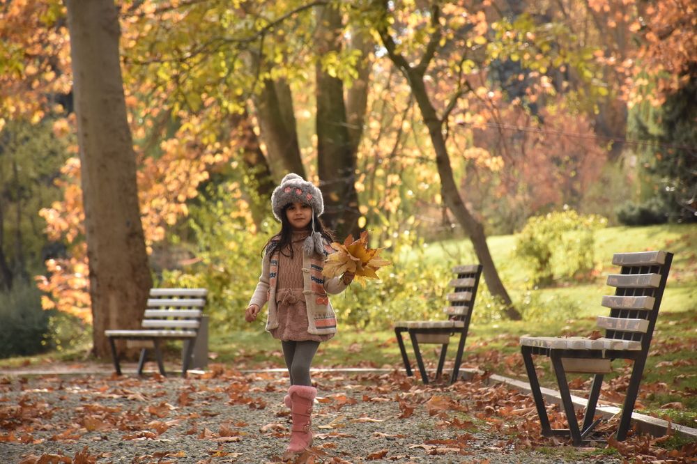 Photograph by amir naserkhani