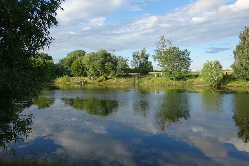 Photograph by Дарья Гришина