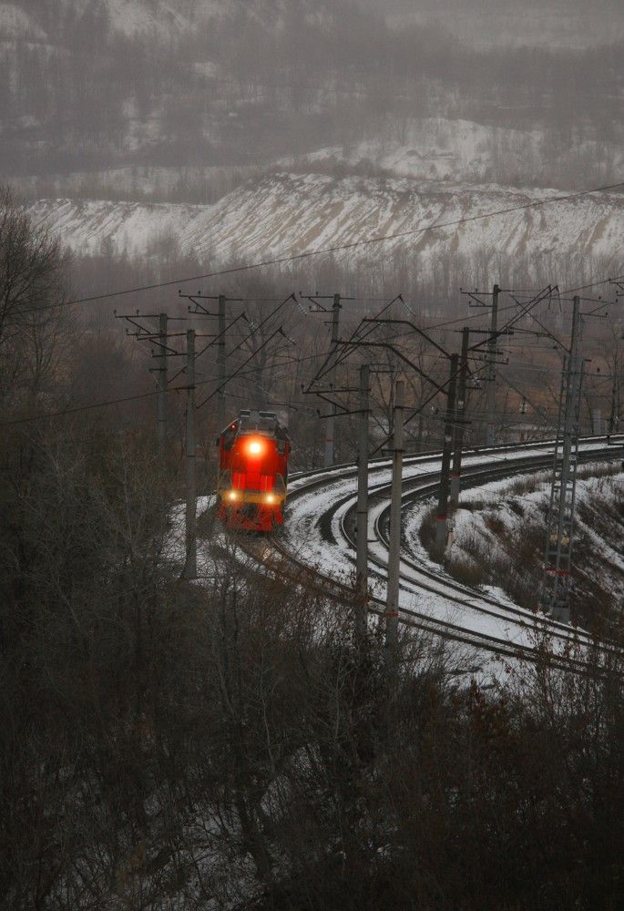 Фотография автора Татьяна Шебаршенко