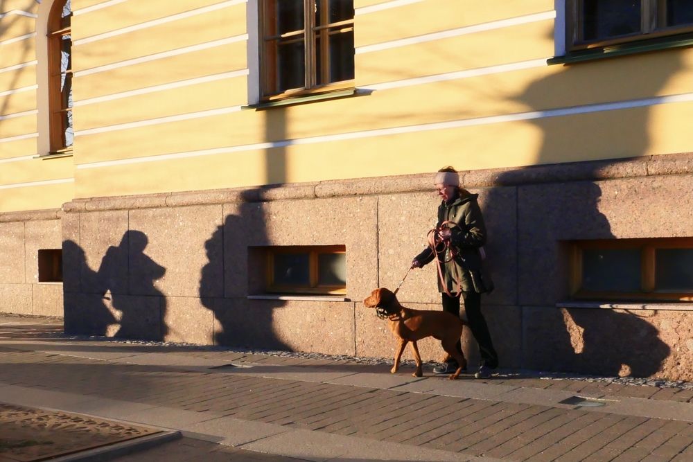 Дама с собачкой