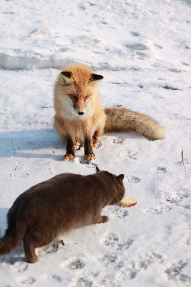 Photograph by Лазурченко Анастасия