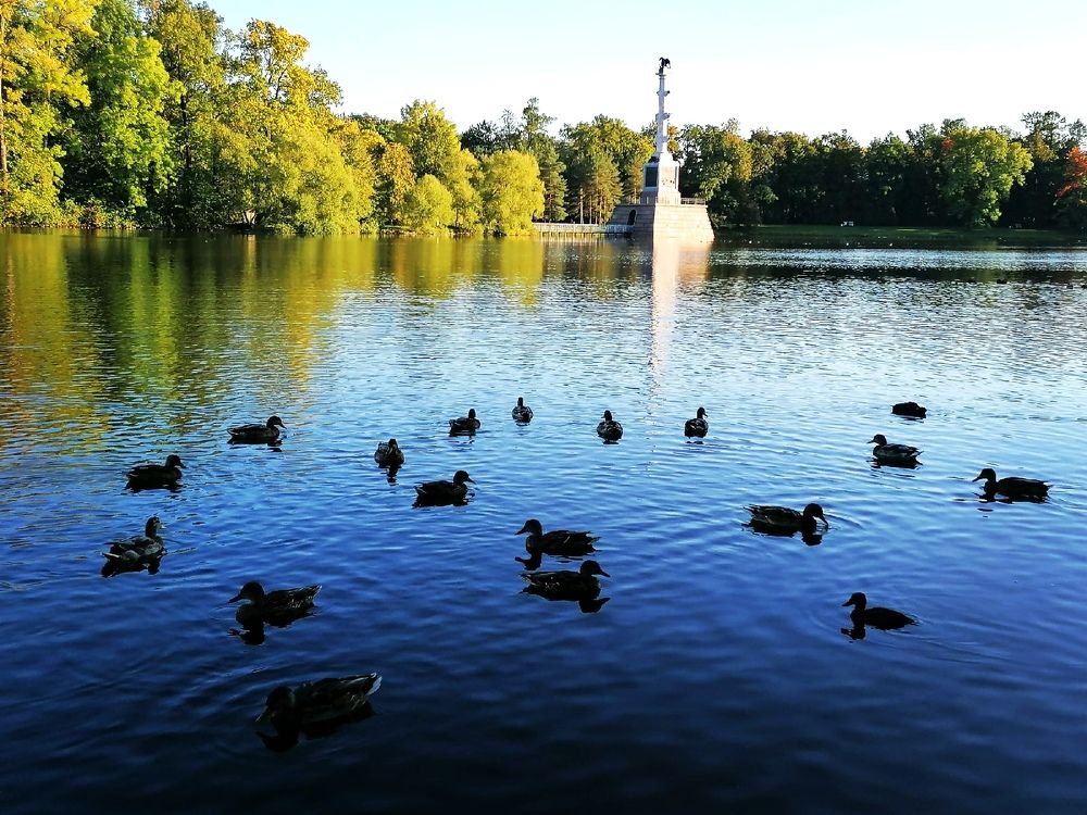 Photograph by Кристина Шмырева