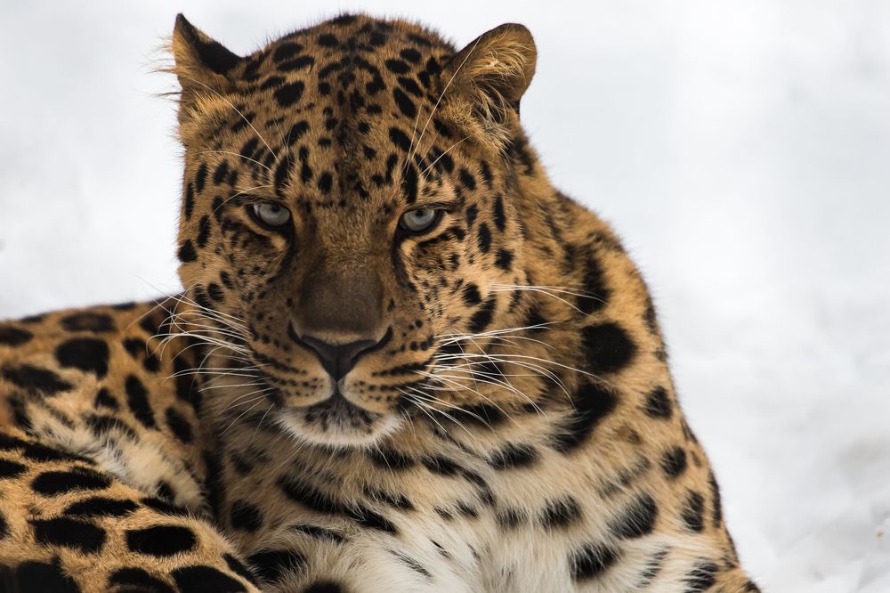 Photograph by Татьяна Гладкова