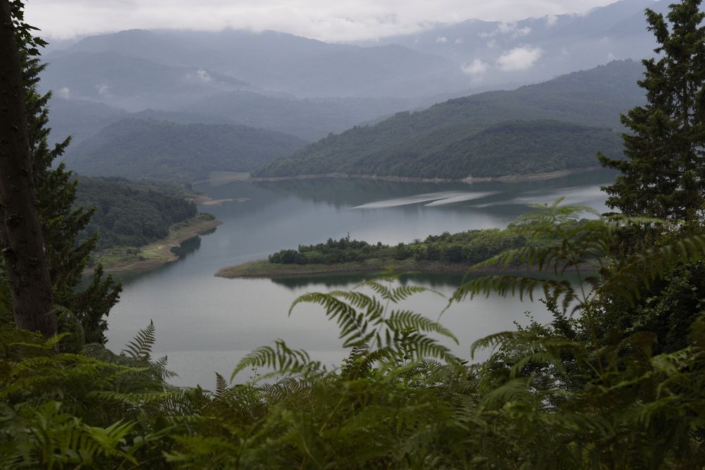 Photograph by amir naserkhani