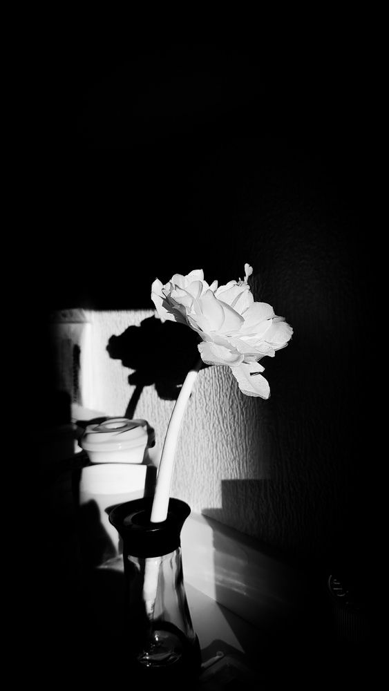 Фотография автора Ольга Неуймина