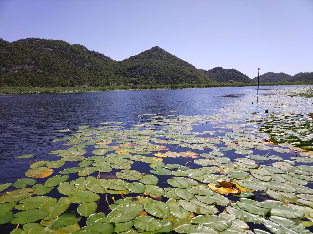 Фотография автора Danica Utjesinovic