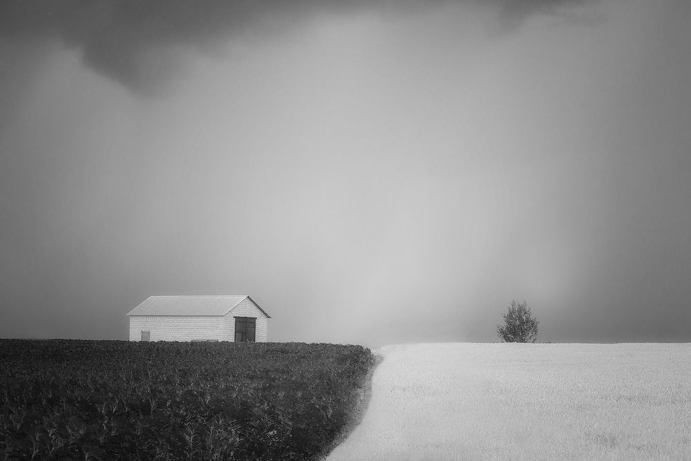 Photograph by Владислав Никишин