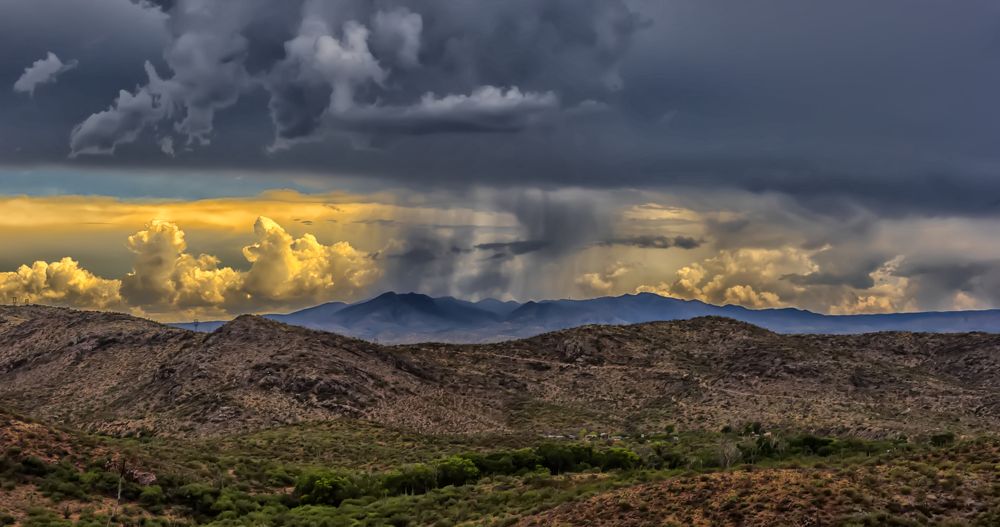 Photograph by Анна Кривицкая