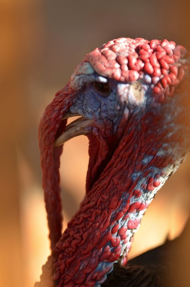 Photograph by Наталья