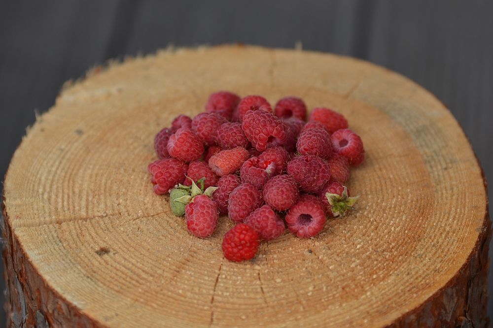 Photograph by Наталья