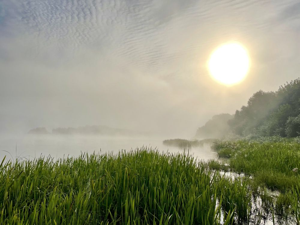 Photograph by Николай