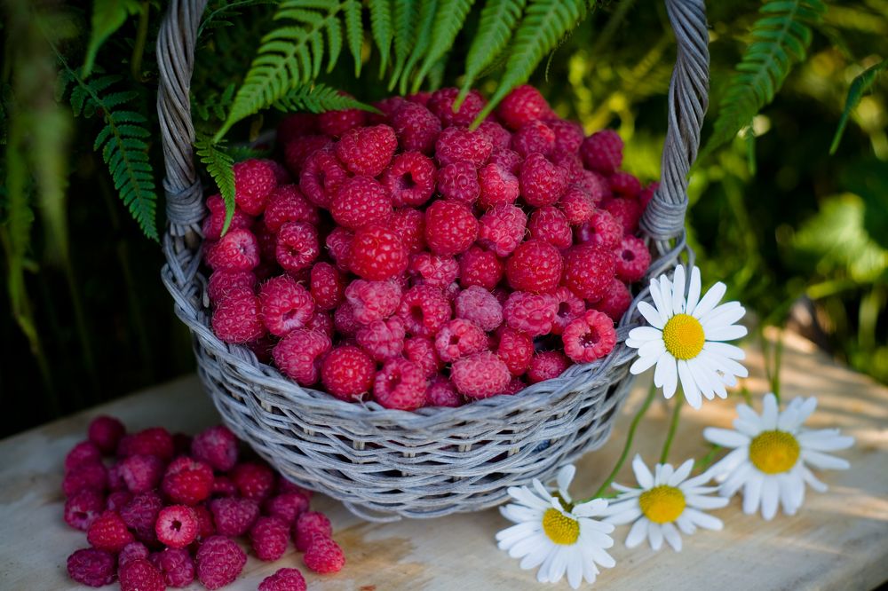 Photograph by Панюшкин Андрей