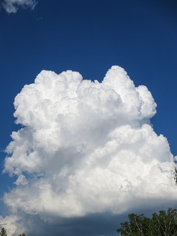 Photograph by Дарья Овсянникова