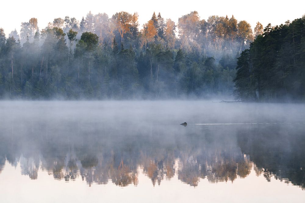 Photograph by Natalya Jankauskene