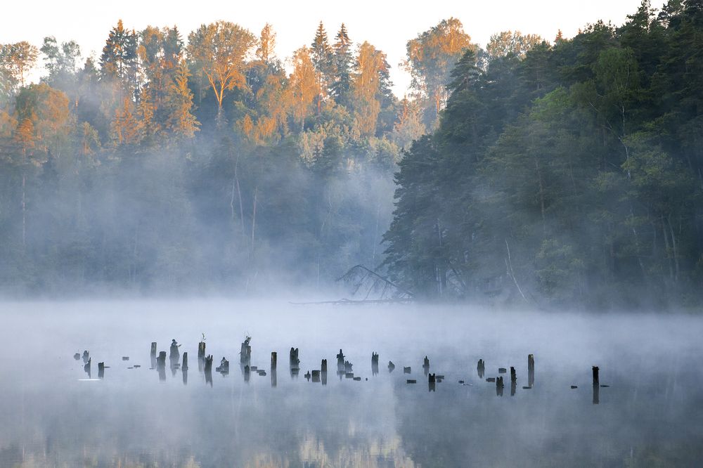 Photograph by Natalya Jankauskene