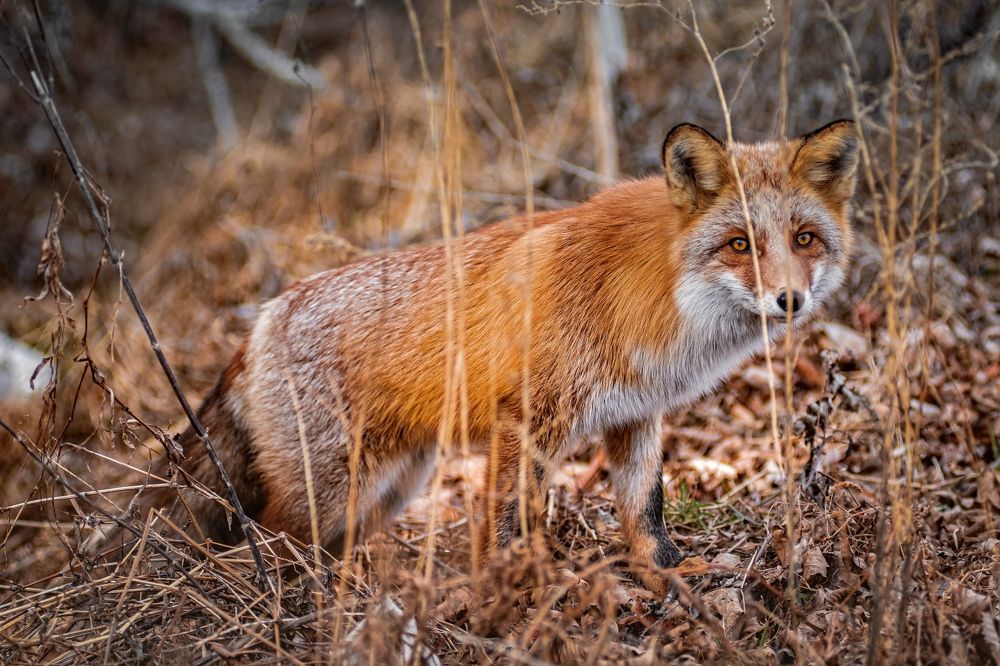 Photograph by Алексей Симонов