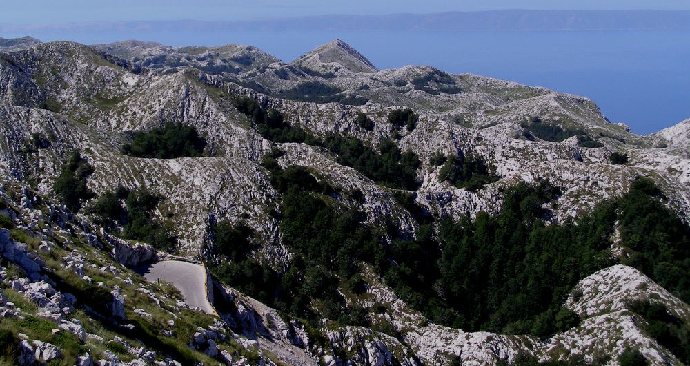 Фотография автора Dubravko Maricic