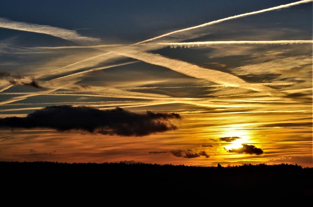 Photograph by Zdeňka Hudcová