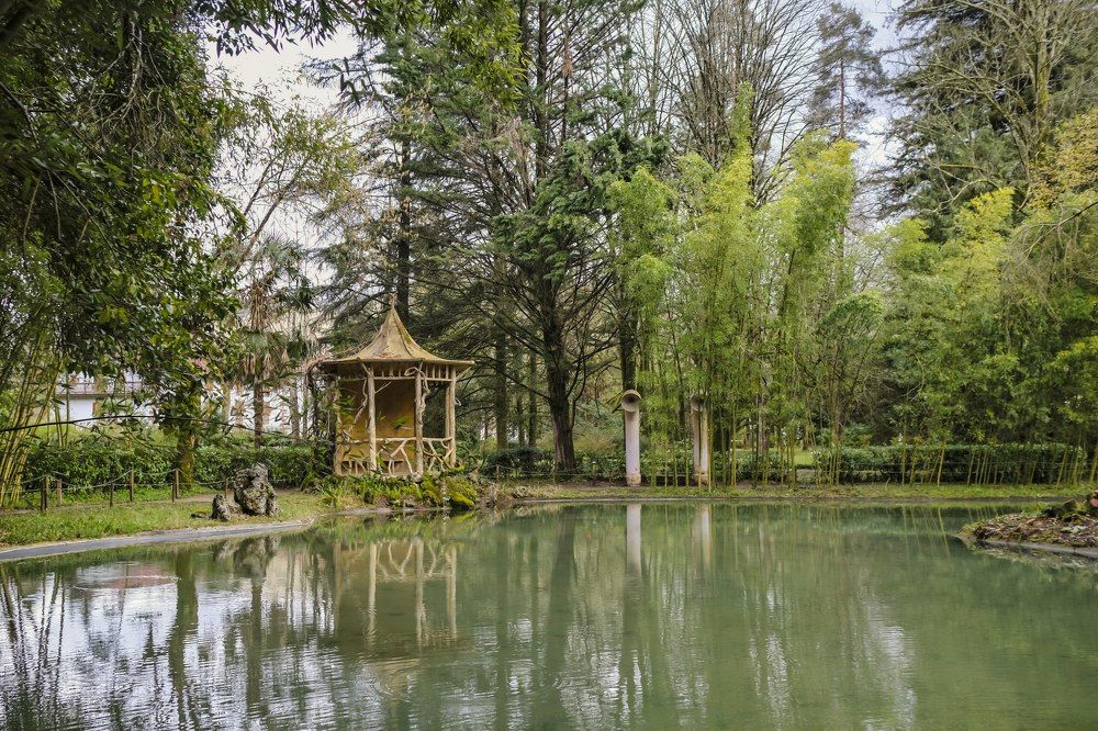 Photograph by Marian Lázaro