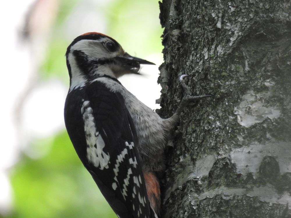 Photograph by Георгий Салюков