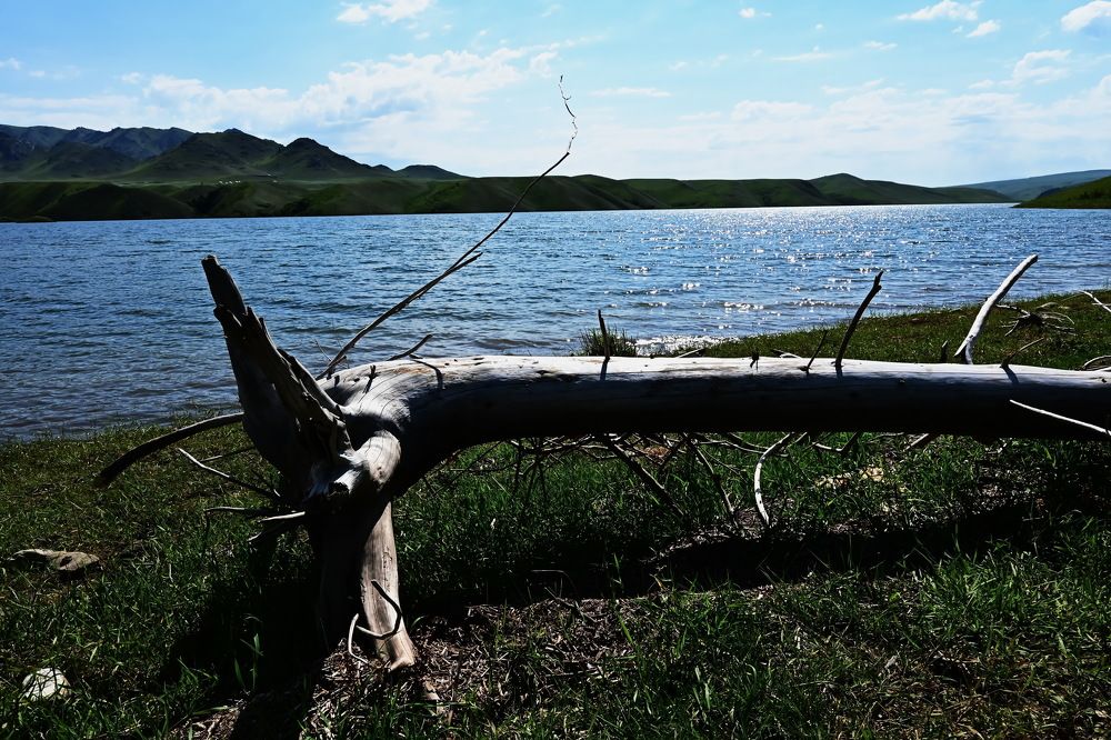 Photograph by Наталья Баранова