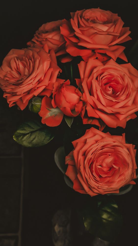 Photograph by Denis Bocharov