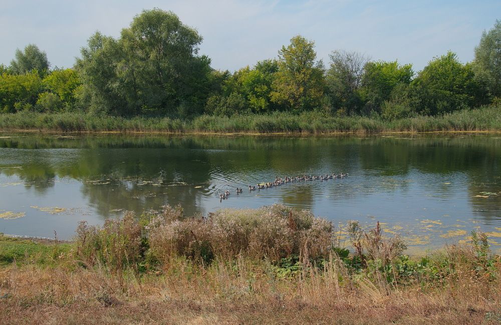 Photograph by Василий Быстрицкий