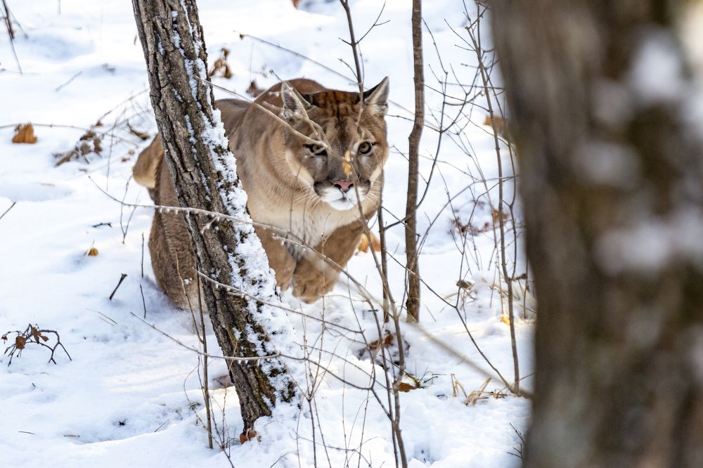 Photograph by Андрей Михайлов
