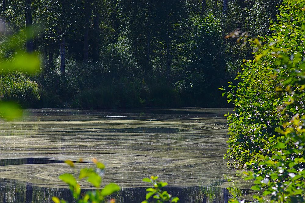 Photograph by Евгений Беленков