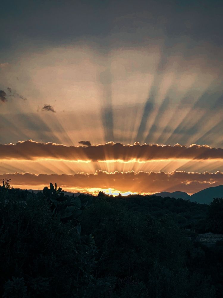 Photograph by Zinaida Sassarini