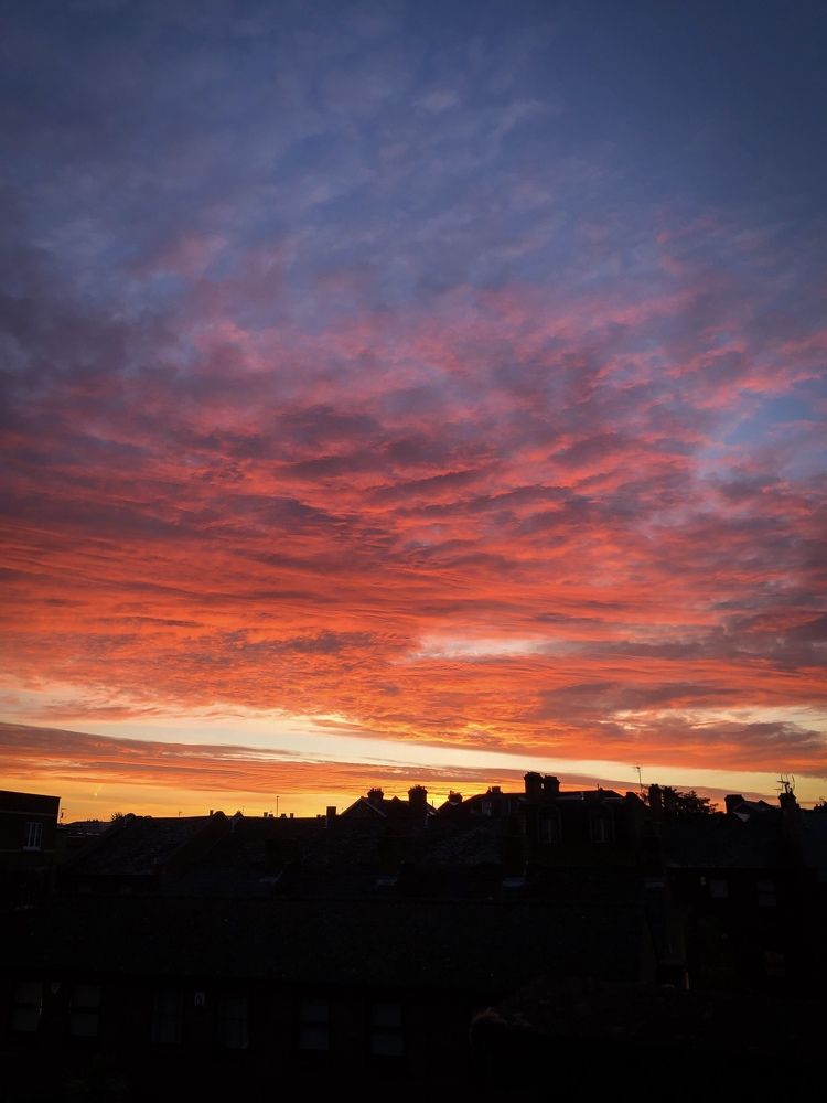 Photograph by Zinaida Sassarini