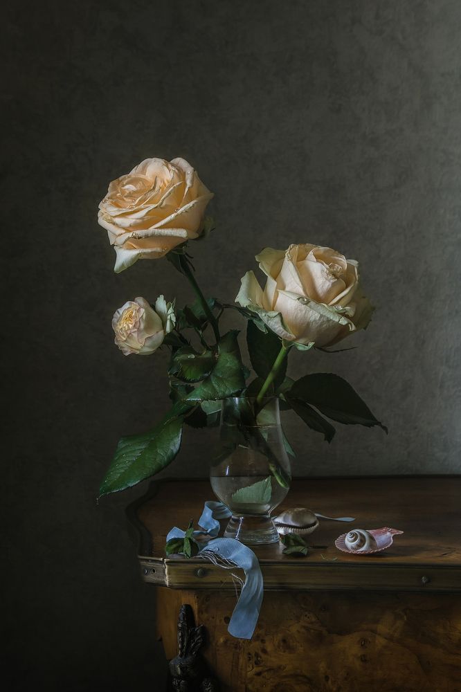 Фотография автора Анна Петина